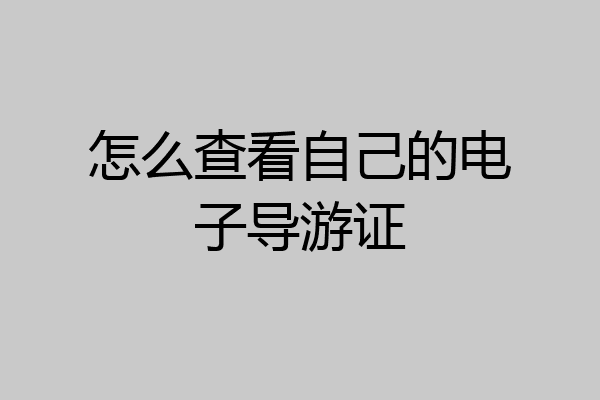 怎么查看自己的电子导游证
