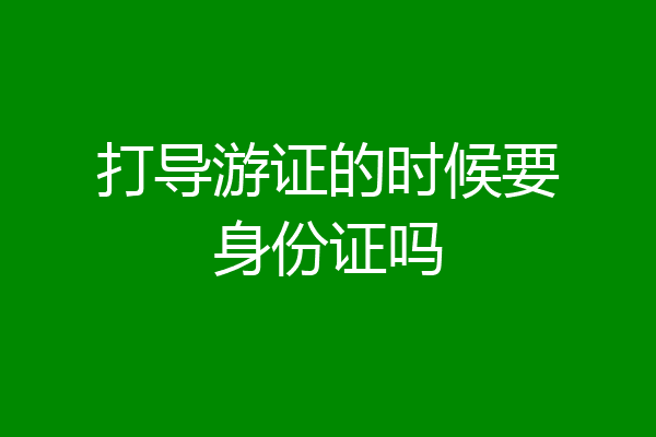打导游证的时候要身份证吗