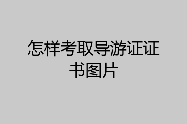 怎样考取导游证证书图片