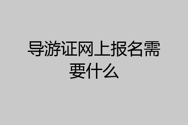 导游证网上报名需要什么