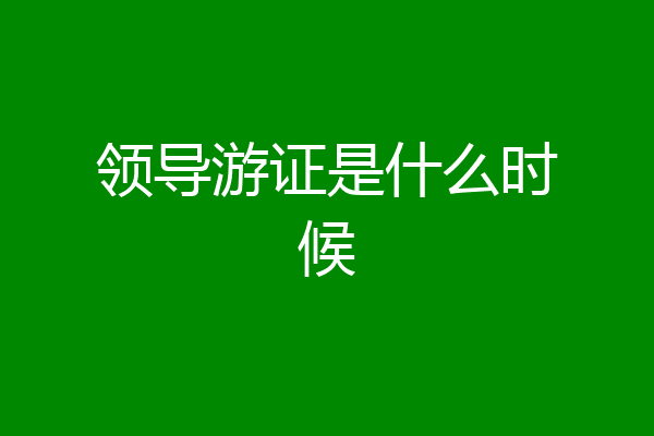 领导游证是什么时候