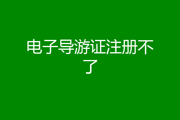 电子导游证注册不了