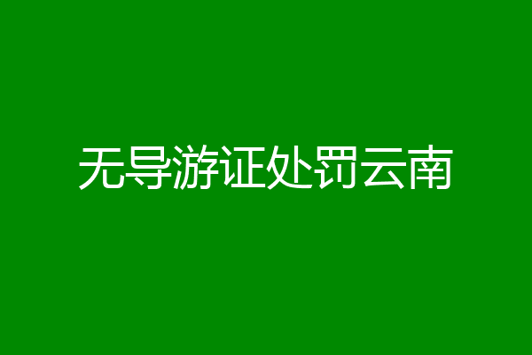 无导游证处罚云南