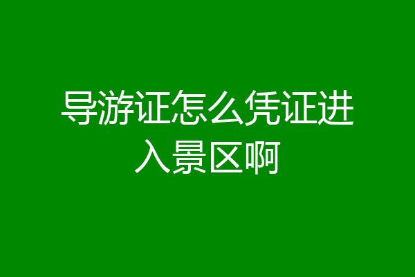 导游证怎么凭证进入景区啊