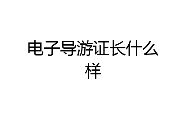 电子导游证长什么样