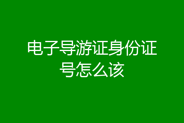 电子导游证身份证号怎么该