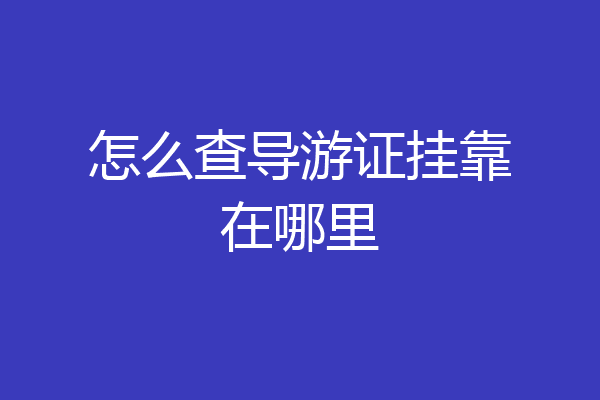 怎么查导游证挂靠在哪里