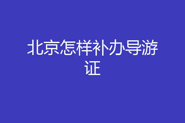 北京怎样补办导游证