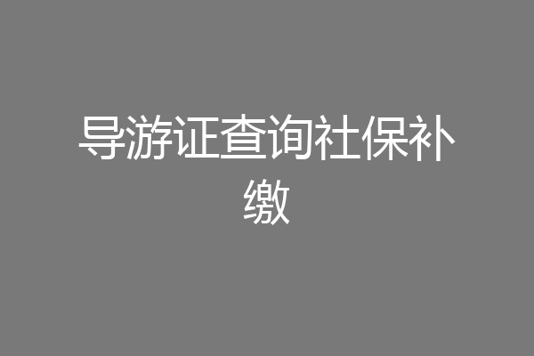 导游证查询社保补缴