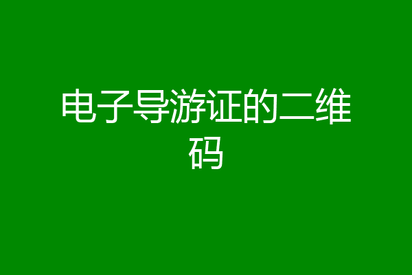 电子导游证的二维码