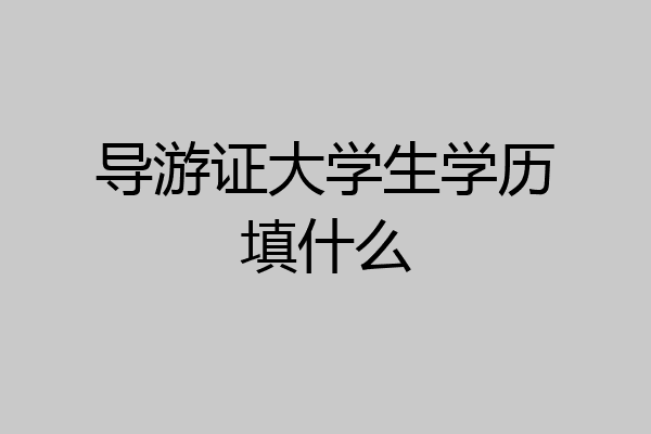 导游证大学生学历填什么