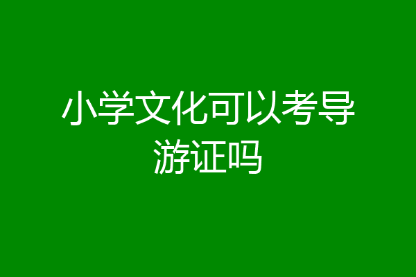 小学文化可以考导游证吗