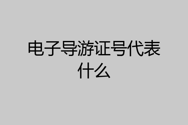 电子导游证号代表什么