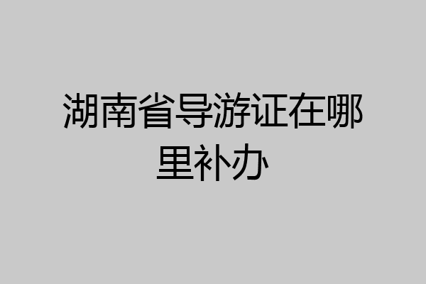 湖南省导游证在哪里补办