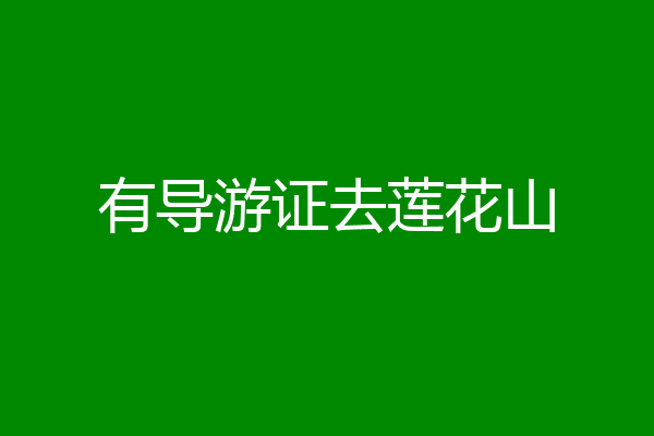 有导游证去莲花山