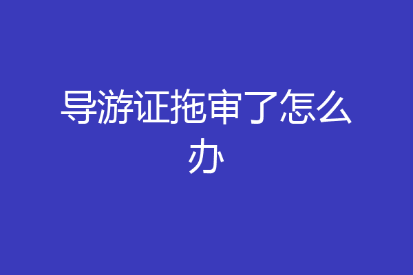 导游证拖审了怎么办