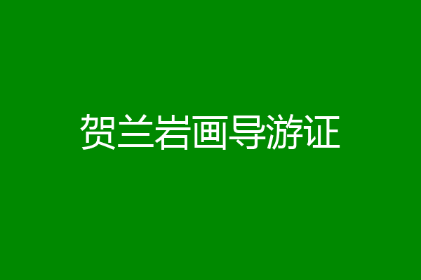 贺兰岩画导游证