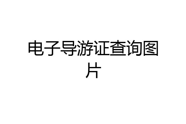 电子导游证查询图片