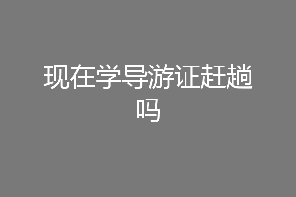 现在学导游证赶趟吗