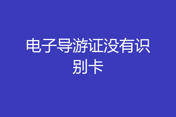 电子导游证没有识别卡