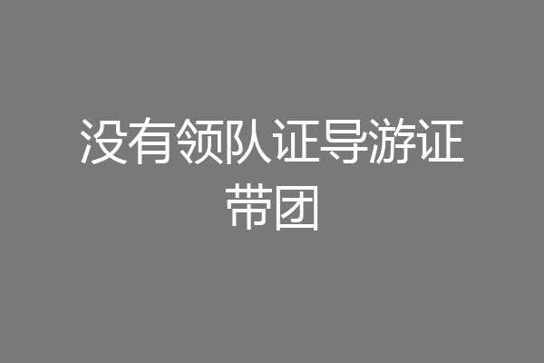 没有领队证导游证带团