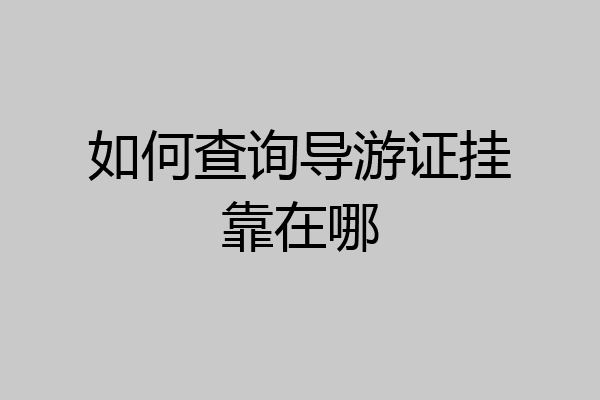 如何查询导游证挂靠在哪