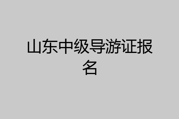 山东中级导游证报名