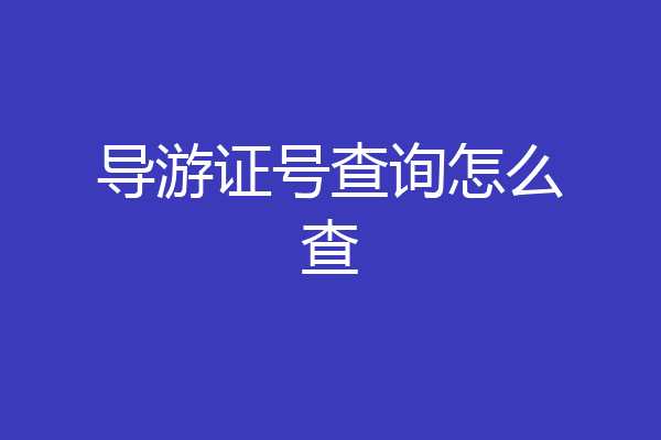 导游证号查询怎么查