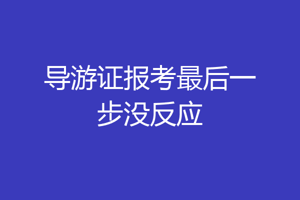 导游证报考最后一步没反应
