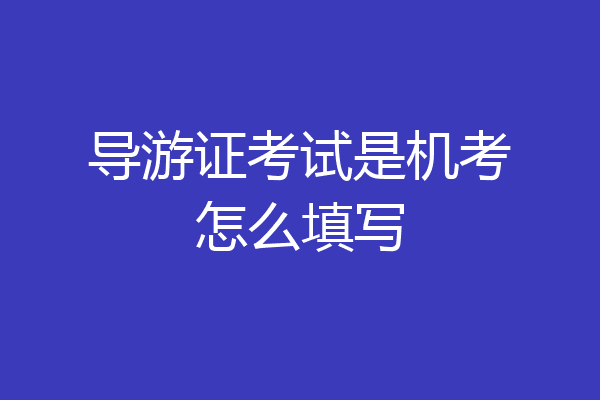 导游证考试是机考怎么填写