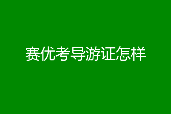 赛优考导游证怎样
