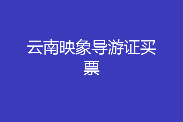 云南映象导游证买票