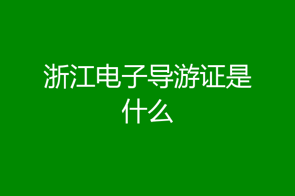 浙江电子导游证是什么