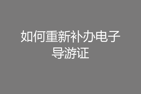 如何重新补办电子导游证