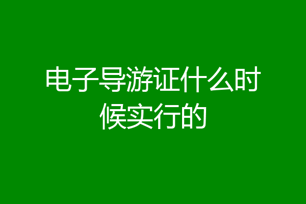 电子导游证什么时候实行的
