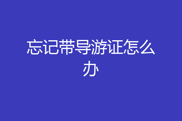 忘记带导游证怎么办