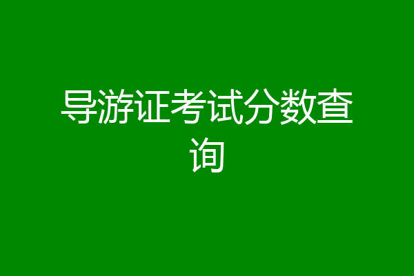 导游证考试分数查询