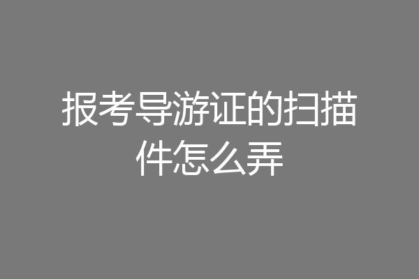 报考导游证的扫描件怎么弄