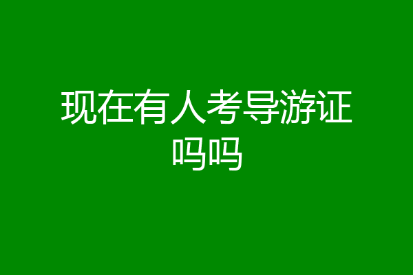 现在有人考导游证吗吗