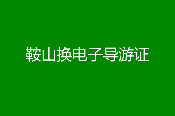 鞍山换电子导游证