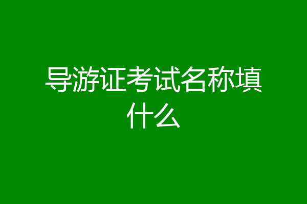 导游证考试名称填什么