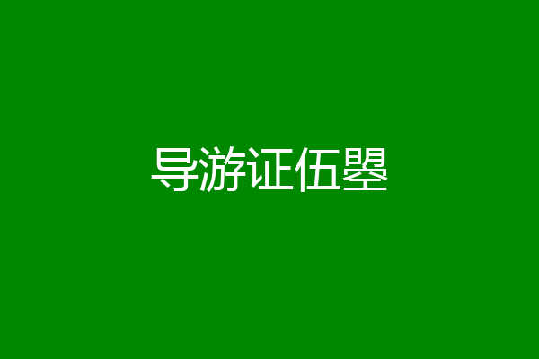 导游证伍曌