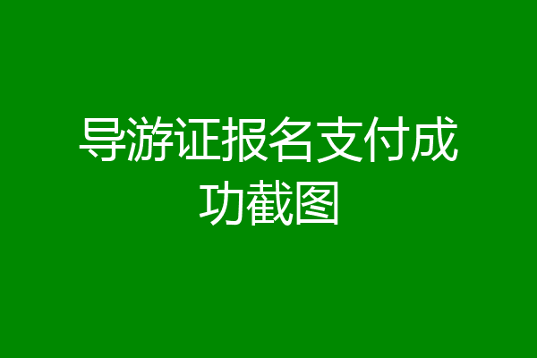 导游证报名支付成功截图