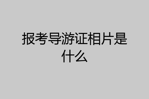 报考导游证相片是什么