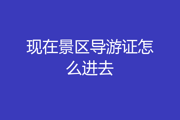 现在景区导游证怎么进去