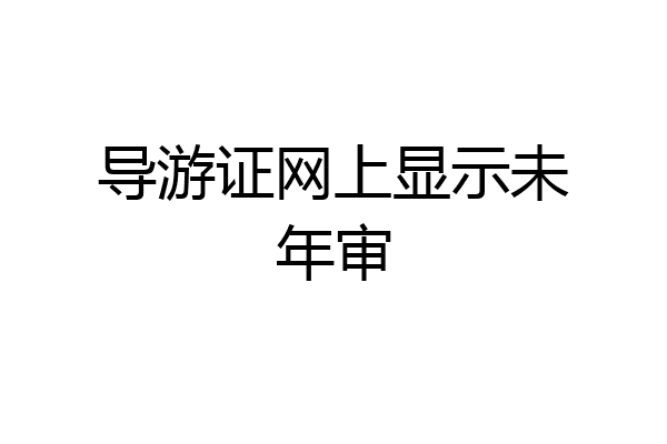 导游证网上显示未年审