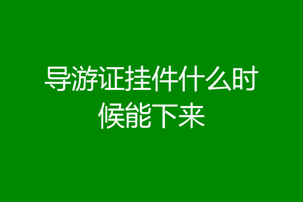 导游证挂件什么时候能下来