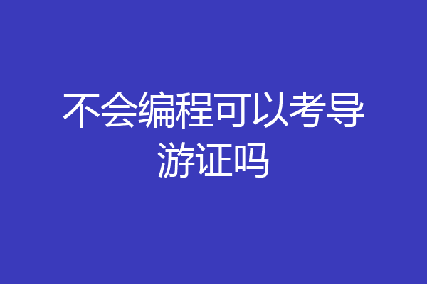 不会编程可以考导游证吗