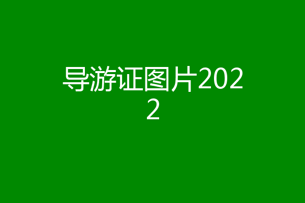 导游证图片2022