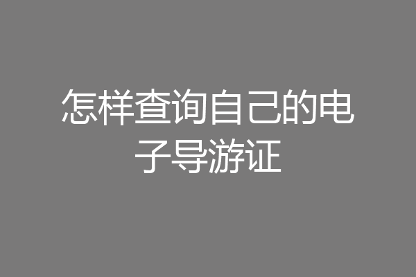 怎样查询自己的电子导游证